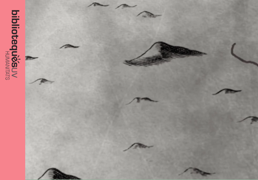 Allende las Fronteras portada